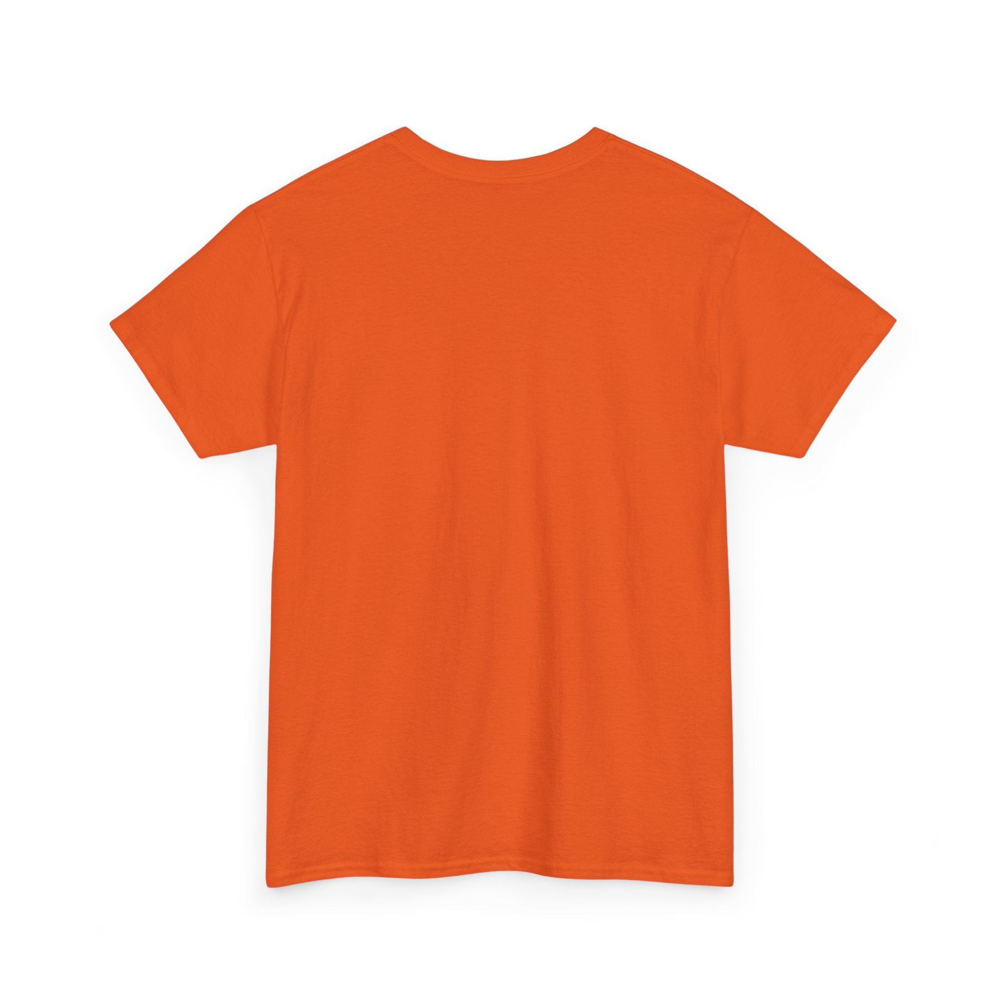Diana Please! Unisex Heavy Cotton Tee: Soft Casual Wear, Graphic T-Shirt
